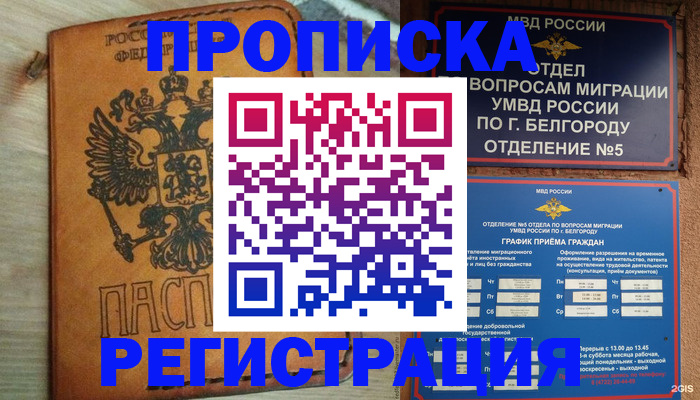 прописка для работы в Кингисеппе